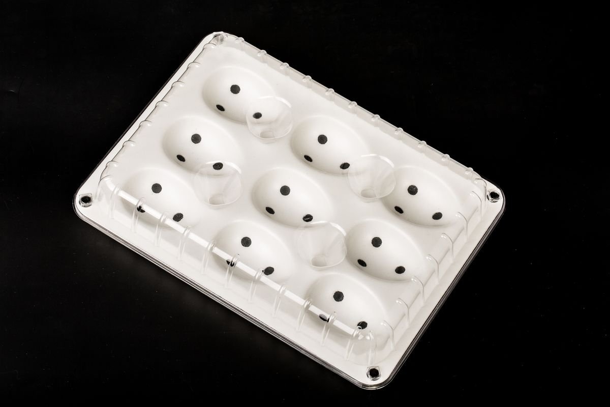 9-Cell Vented E-Commerce Strawberry Pack — 草莓透气悬空电商装 9粒 | ZENYARE fruit packaging